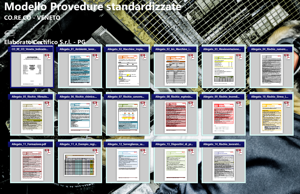 Modello Procedure standardizzate CORECO Veneto