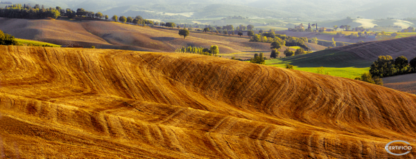 Umbria It | Colori