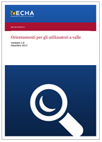 REACHOrientamenti utilizzatori valle Ed. 2.0 12.2014