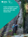 Il danno ambientale in Italia attivit  del SNPA e quadro delle azioni 2021 2022