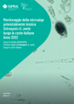 Monitoraggio della microalga potenzialmente tossica Ostreopsis   Anno 2022