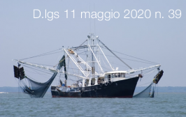 Decreto Legislativo 11 maggio 2020 n. 39 Decreto Legislativo 11 maggio 2020 n. 39