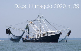 Decreto Legislativo 11 maggio 2020 n. 39