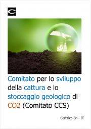 Comitato cattura e stoccaggio geologico di CO2 (Comitato CCS) Comitato cattura e stoccaggio geologico di CO2 (Comitato CCS)