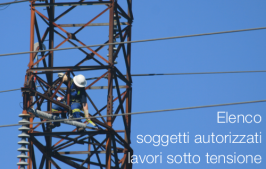 1° Elenco soggetti autorizzati per lavori sotto tensione 1° Elenco soggetti autorizzati per lavori sotto tensione