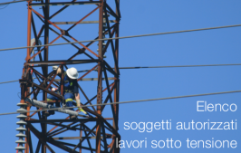 4° Elenco soggetti autorizzati per lavori sotto tensione