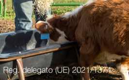 Regolamento delegato (UE) 2021/1374