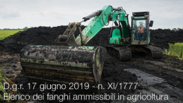 D.g.r. 17 giugno 2019 - n. XI/1777 | Elenco dei fanghi ammissibili in agricoltura