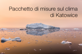 Pacchetto di misure sul clima di Katowice (COP24) Pacchetto di misure sul clima di Katowice (COP24)