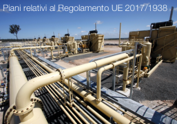 Piani relativi al Regolamento UE 2017/1938