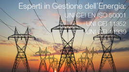 Esperti in Gestione dell’Energia e UNI CEI 11339