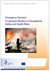 A literature review on occupational safety and health risks