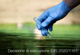Decisione di esecuzione (UE) 2020/1161 Decisione di esecuzione (UE) 2020/1161