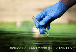 Decisione di esecuzione (UE) 2020/1161