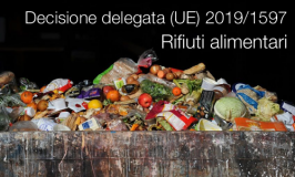 Decisione delegata (UE) 2019/1597