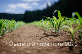 Decreto 9 novembre 2023 