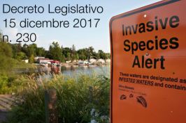 Decreto Legislativo 15 dicembre 2017 n. 230 