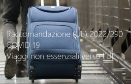 Raccomandazione (UE) 2022/290