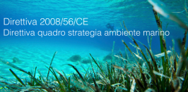 Direttiva 2008/56/CE Direttiva 2008/56/CE