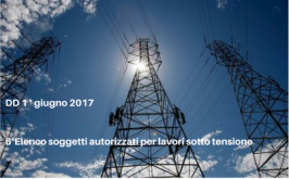 6° Elenco soggetti autorizzati per lavori sotto tensione