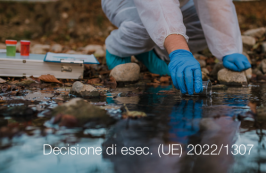 Decisione di esecuzione (UE) 2022/1307 Decisione di esecuzione (UE) 2022/1307