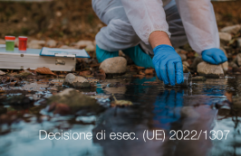 Decisione di esecuzione (UE) 2022/1307