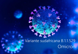 Ordinanza Min Salute 26 Novembre 2021