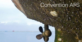 Convenzione AFS Convenzione AFS