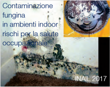 Contaminazione fungina in ambienti indoor: rischi per la salute occupazionale