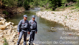 Comando Unità Forestali, Ambientali e Agroalimentari Carabinieri