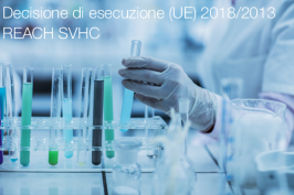 Decisione di esecuzione (UE) 2018/2013 Decisione di esecuzione (UE) 2018/2013