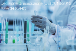 Decisione di esecuzione (UE) 2018/2013