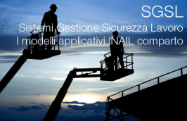 SGSL: tutti i Modelli applicativi INAIL SGSL: tutti i Modelli applicativi INAIL
