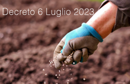 Decreto 6 luglio 2023 Decreto 6 luglio 2023