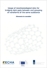 New approach on hazard assessment for nanoforms