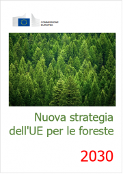 Nuova strategia dell'UE per le foreste per il 2030