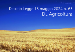 Decreto-Legge 15 maggio 2024 n. 63