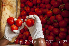 Decreto Legislativo 2 febbraio 2021 n. 27