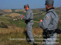 D.Lgs. 19 agosto 2016, n. 177 