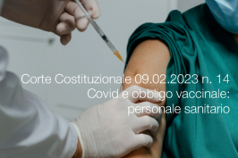 Sentenza Corte Costituzionale del 09 febbraio 2023 n. 14 Sentenza Corte Costituzionale del 09 febbraio 2023 n. 14