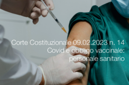 Sentenza Corte Costituzionale del 09 febbraio 2023 n. 14