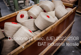 Decisione di esecuzione (UE) 2022/2508