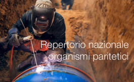 Repertorio nazionale degli organismi paritetici