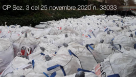 Cassazione Penale Sez. 3 del 25 novembre 2020 n. 33033