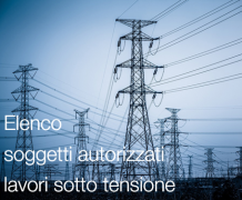 7° Elenco soggetti autorizzati per lavori sotto tensione 7° Elenco soggetti autorizzati per lavori sotto tensione