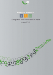 Rapporto Statistico 2016 GSE