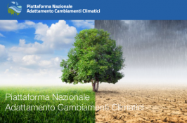 Piattaforma nazionale sull'adattamento ai cambiamenti climatici