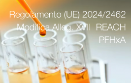 Regolamento (UE) 2024/2462 Regolamento (UE) 2024/2462