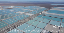 Five cobalt salts proposed for restriction - ECHA Five cobalt salts proposed for restriction - ECHA