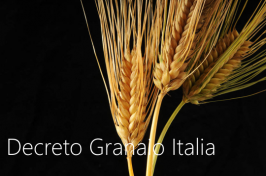 Decreto Granaio Italia Decreto Granaio Italia